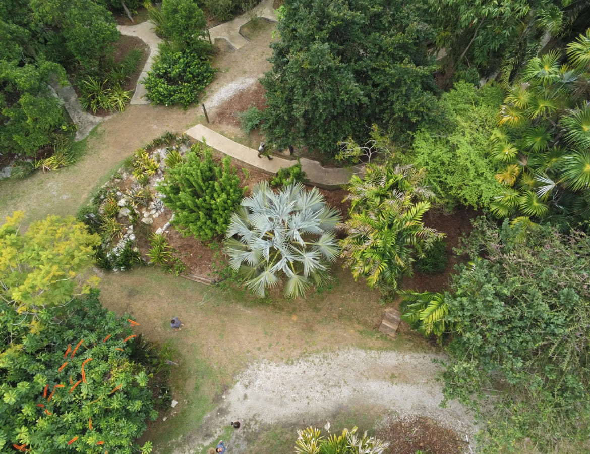 vue-aerienne-jardin-botanique-guyane