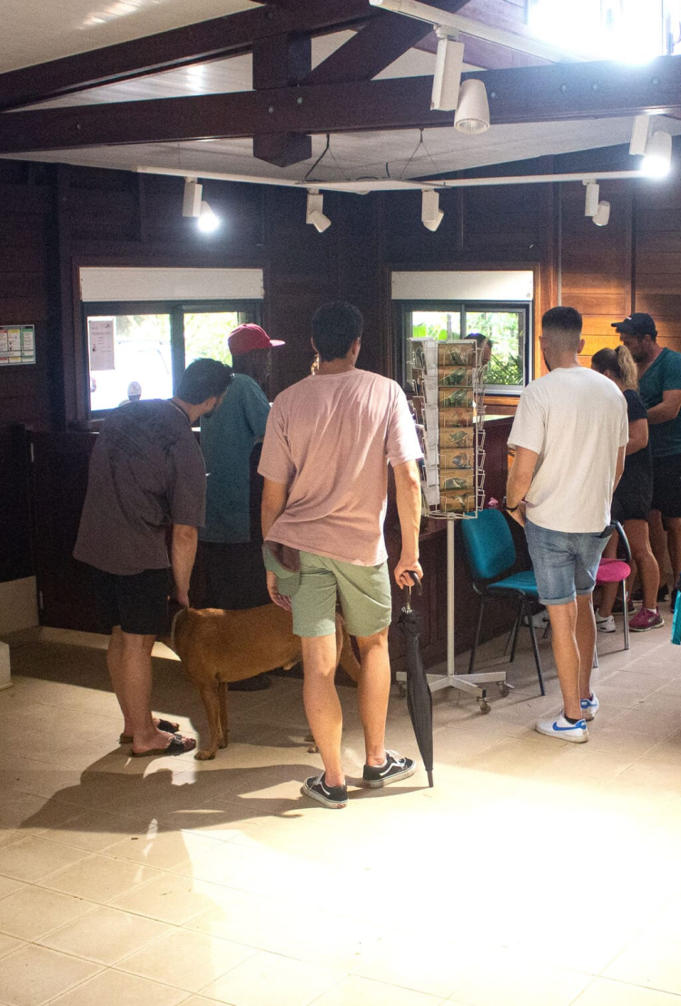 01-mansion-vanille mansion-vanille