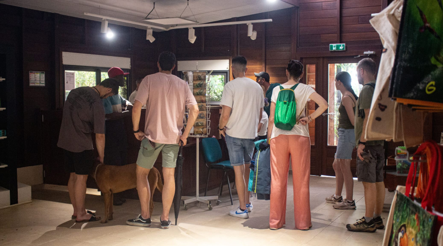 04-casa-vainilla casa-vainilla