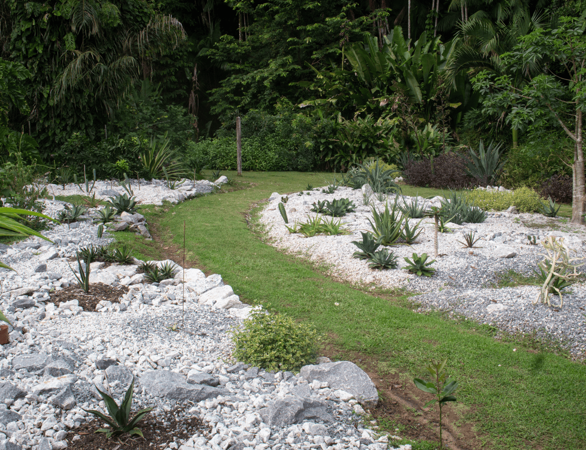 02-gallery-Cactarium-cactus-agave-aloe
