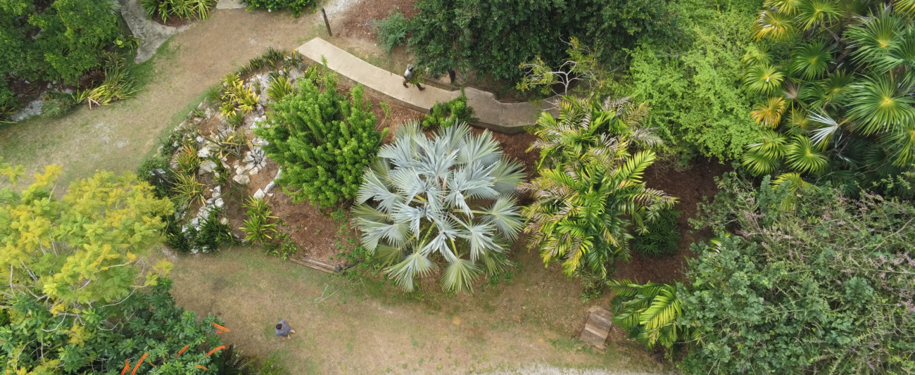 jardin-botanique-guyane