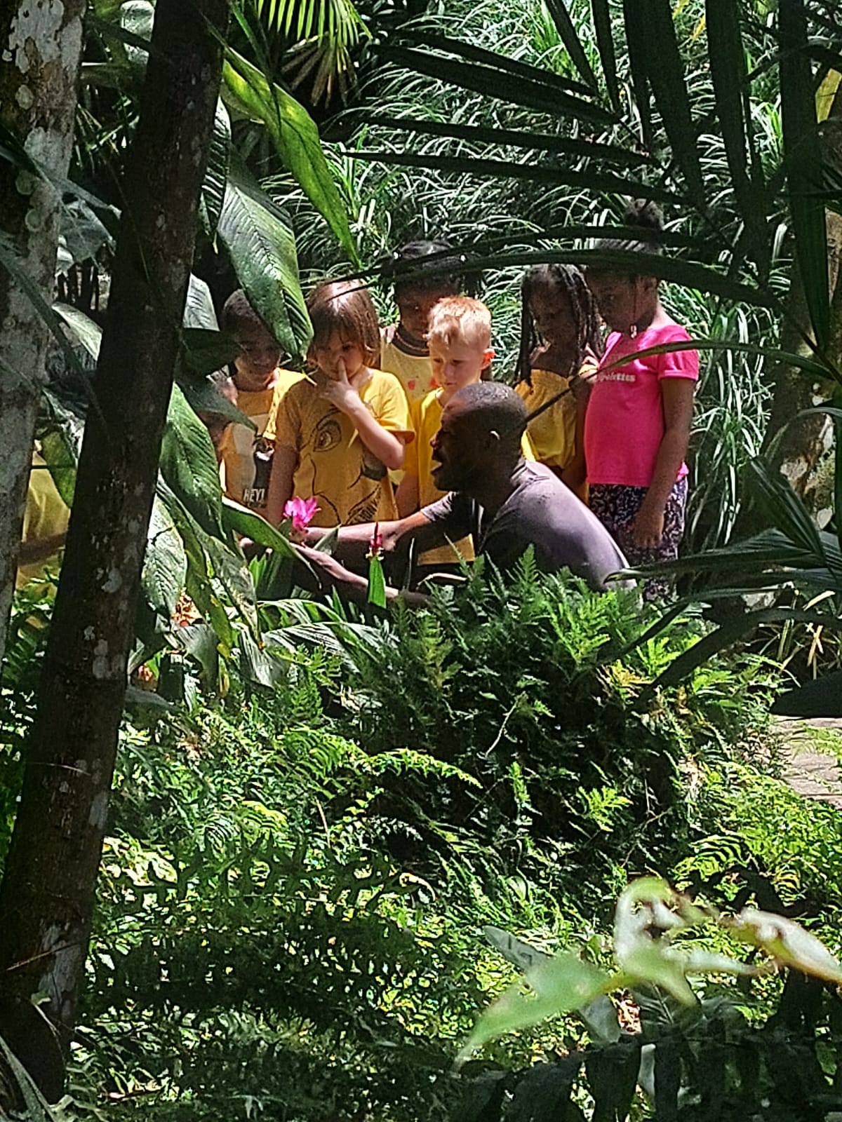 Aloe-jardin-botanique-de-Guyane