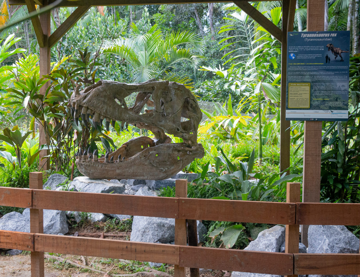 jardin-botanique-guyane